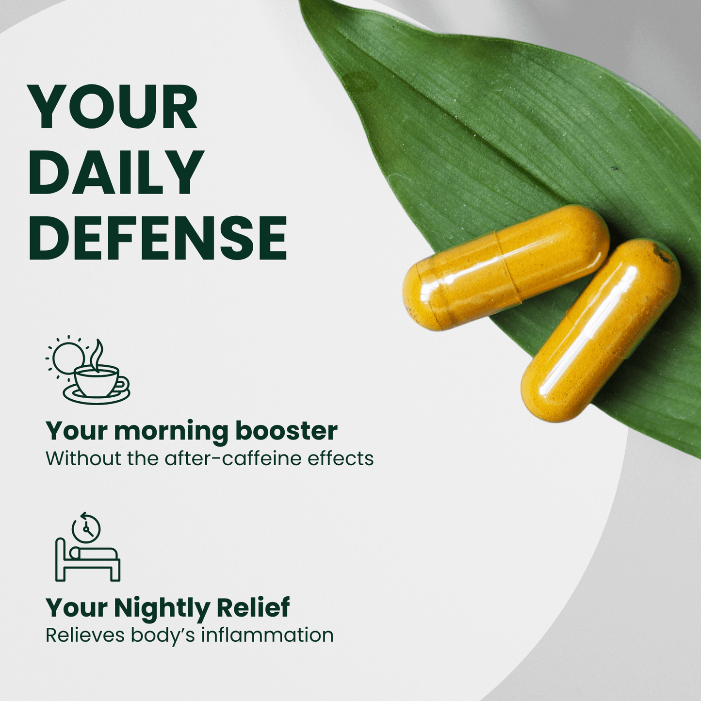 BioAwaken Turmeric with Ginger Herbal Combo