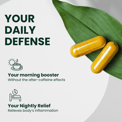 BioAwaken Turmeric with Ginger Herbal Combo