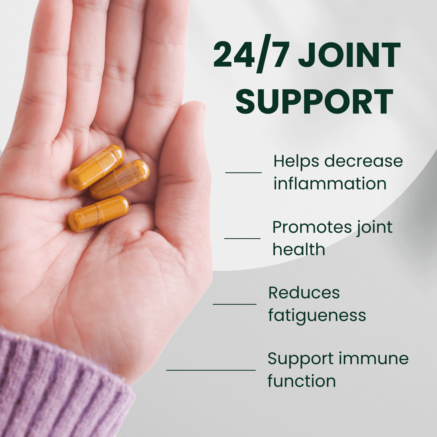 BioAwaken Turmeric with Ginger Herbal Combo