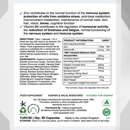 BioAwaken Turmeric with Ginger Herbal Combo