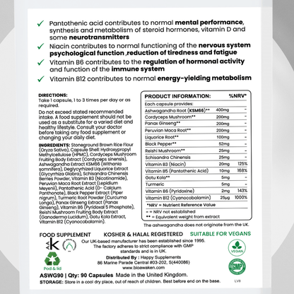 BioAwaken Turmeric with Ginger Herbal Combo