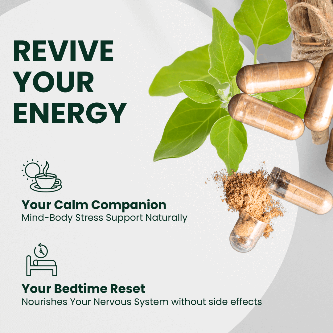 BioAwaken Turmeric with Ginger Herbal Combo