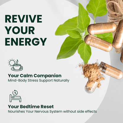 BioAwaken Turmeric with Ginger Herbal Combo