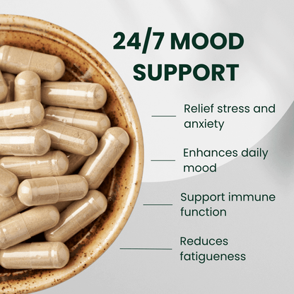 BioAwaken Turmeric with Ginger Herbal Combo