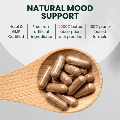 BioAwaken Turmeric with Ginger Herbal Combo